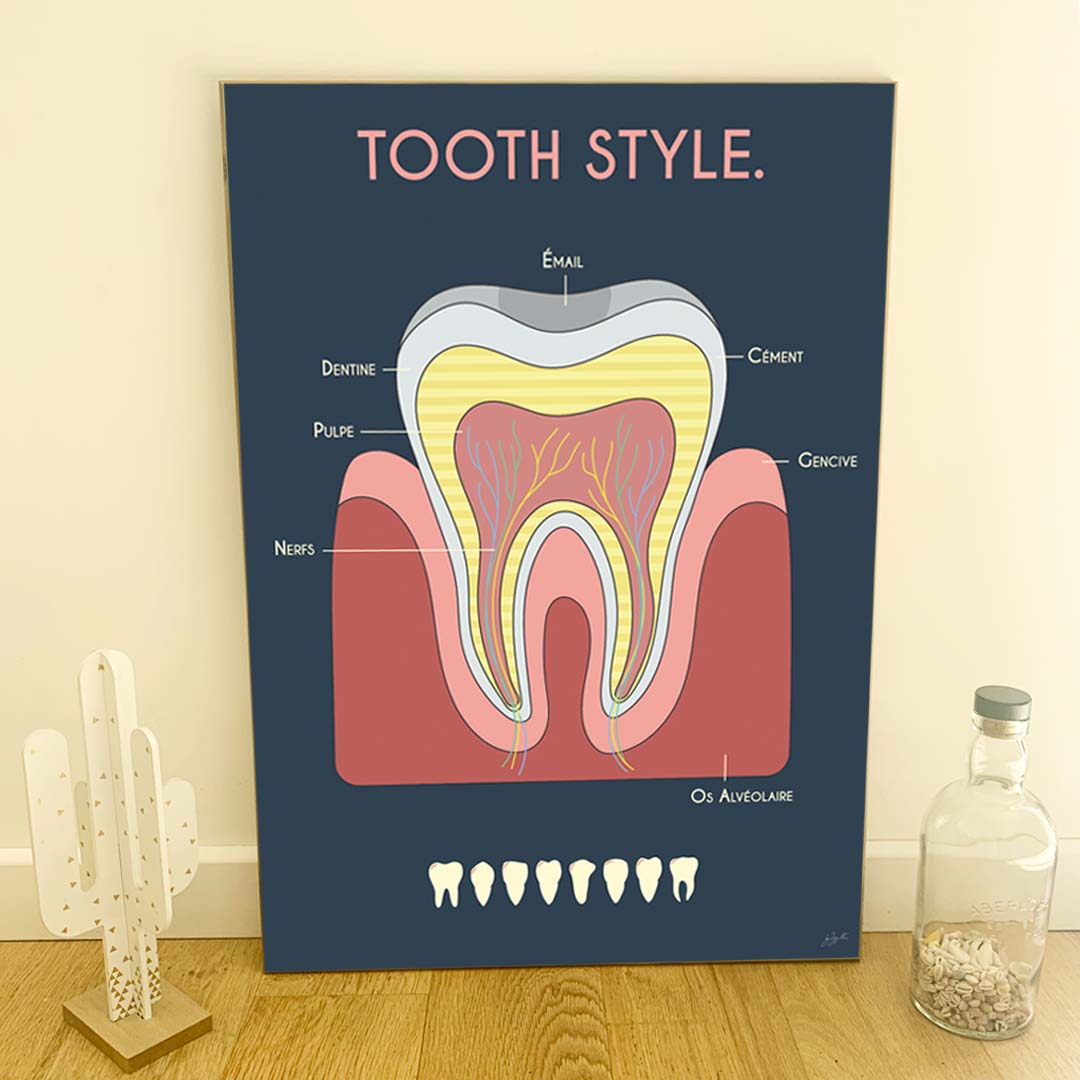 Affiche en bois Anatomie de la dent 50 × 70 cm sur fond bleu nuit, décoration murale originale pour cabinet de dentiste.