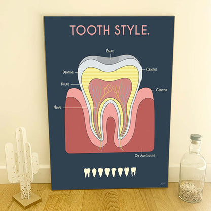 Affiche en bois Anatomie de la dent 50 × 70 cm sur fond bleu nuit, décoration murale originale pour cabinet de dentiste.