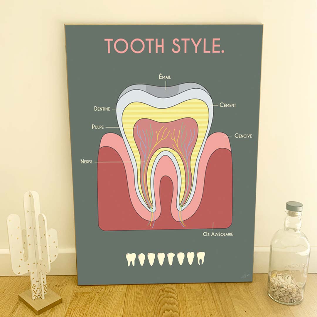 Affiche en bois Anatomie de la dent 50 × 70 cm, fond kaki, schéma illustré de l’émail, de la dentine, de la pulpe et des nerfs.