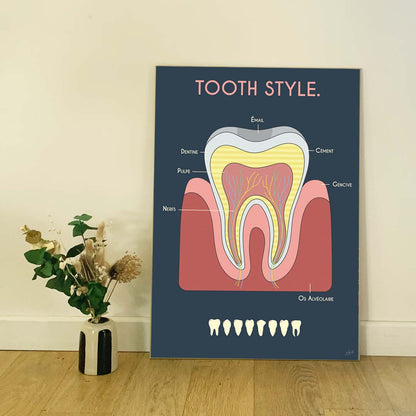 Affiche en bois Anatomie de la dent By Zygottes, illustration anatomique colorée sur fond bleu nuit pour cabinet dentaire.