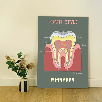 Affiche en bois Anatomie de la dent 60 × 80 cm, fond kaki, décoration murale originale pour cabinet de dentiste.