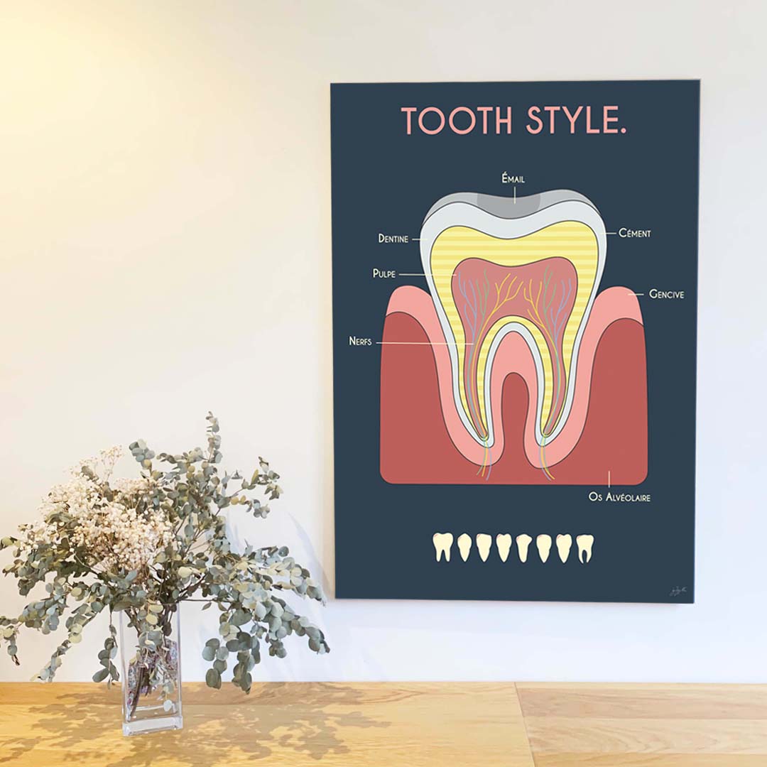 Grande affiche en bois Anatomie de la dent 70 × 100 cm sur fond bleu nuit, accrochée au mur pour une décoration de cabinet dentaire.